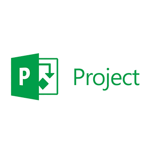 Microsoft Project Training